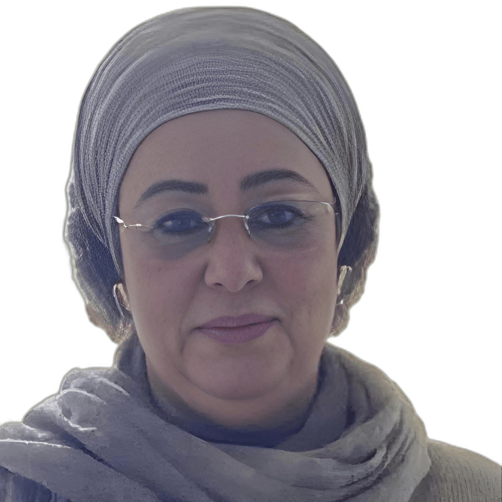 Dr. Hala Adly Hussein Secretary General of the Union of Arab Women Leaders